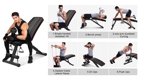 weight bench total body workout